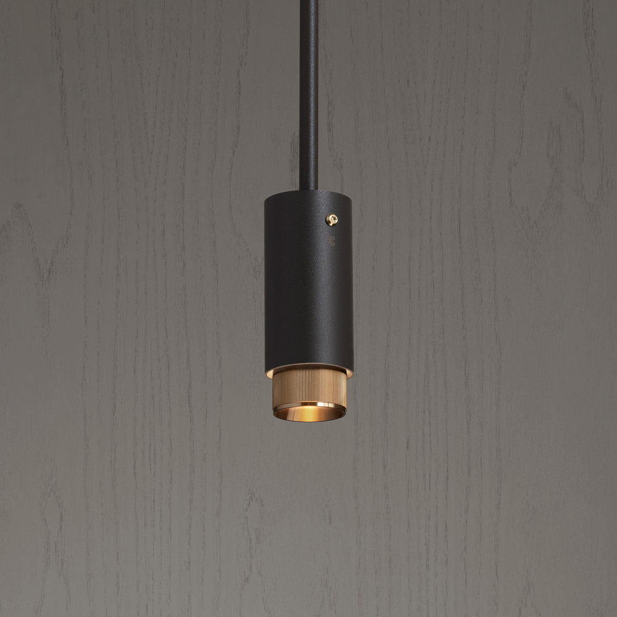 EXHAUST PENDANT / LINEAR / GRAPHITE / BRASS - BUSTER + PUNCH®