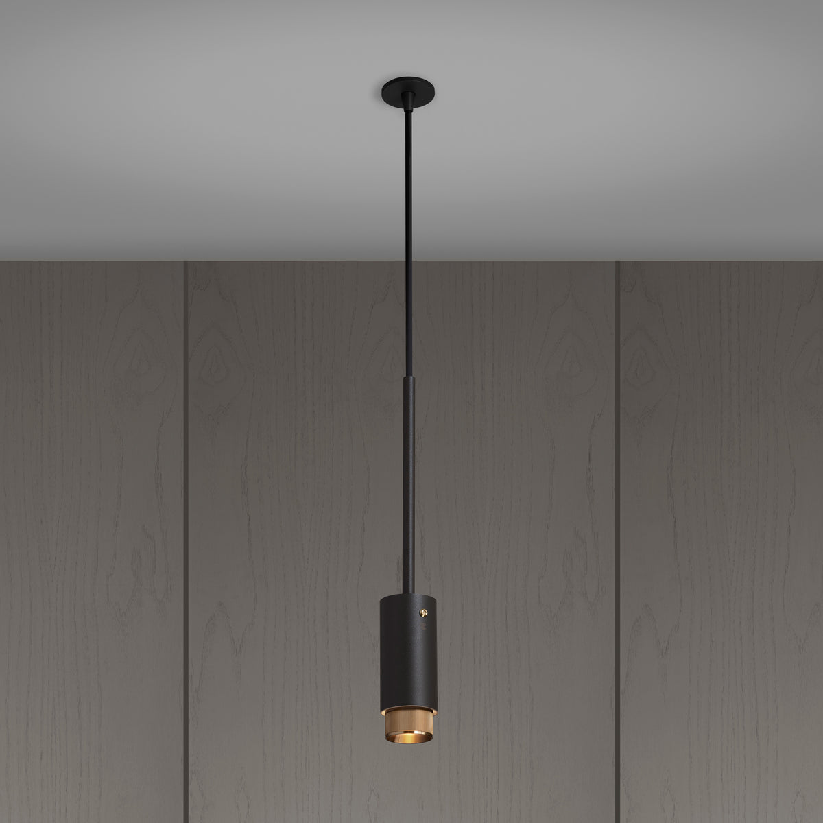 EXHAUST PENDANT / LINEAR / GRAPHITE / BRASS - BUSTER + PUNCH®