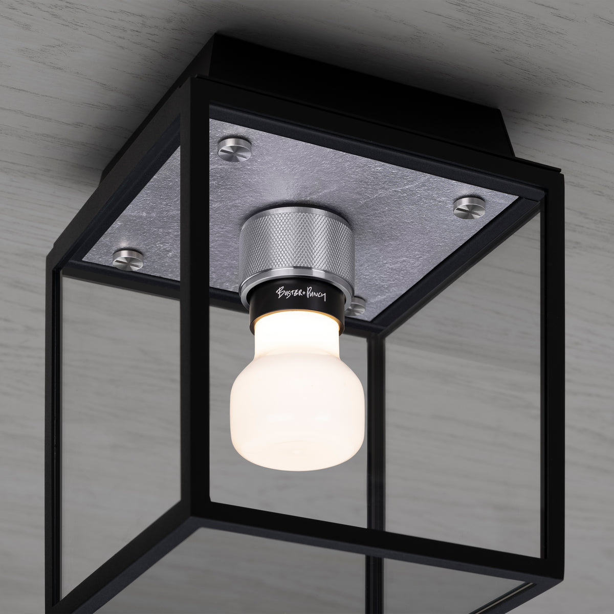 CAGED WET / CEILING / SMALL - STEEL